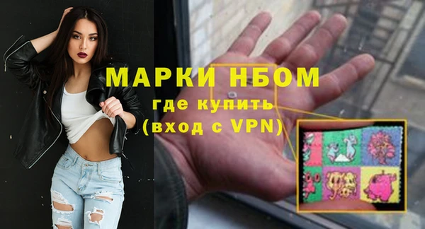 индика Медвежьегорск