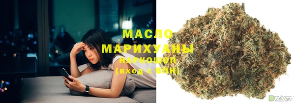 индика Медвежьегорск