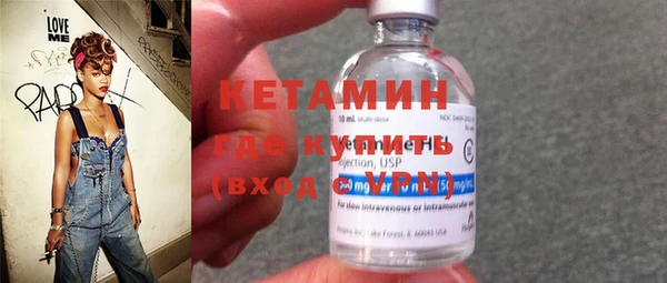 индика Медвежьегорск