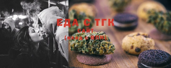 индика Медвежьегорск