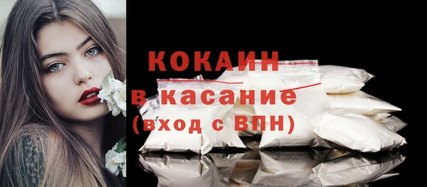индика Медвежьегорск