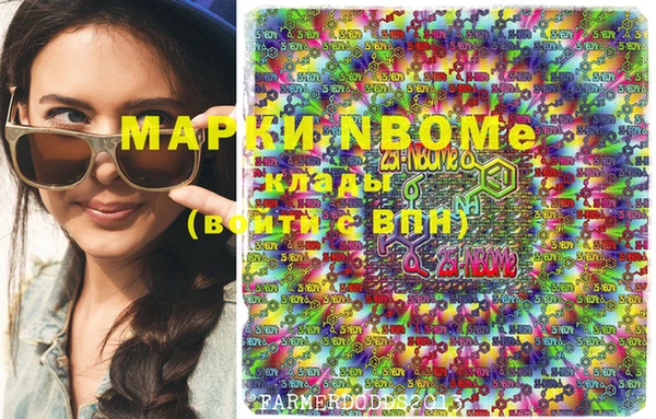 индика Медвежьегорск