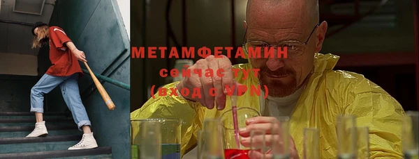индика Медвежьегорск