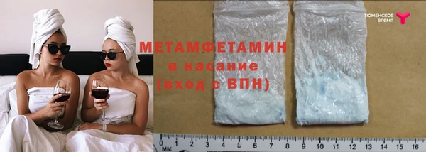 индика Медвежьегорск