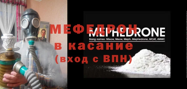 индика Медвежьегорск