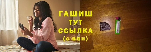 индика Медвежьегорск