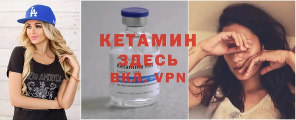 индика Медвежьегорск