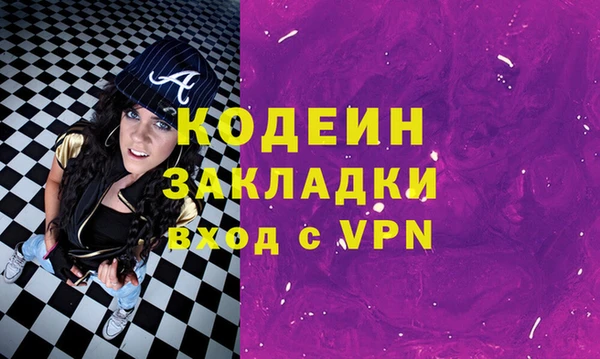 индика Медвежьегорск