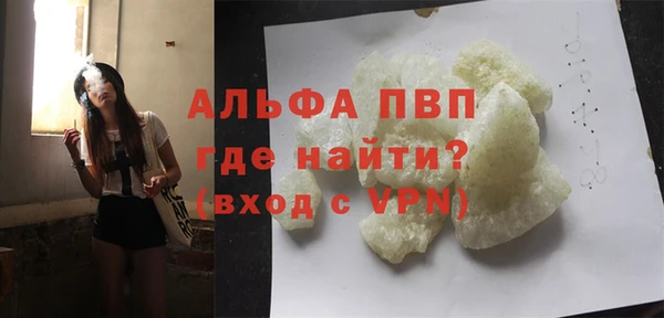 индика Медвежьегорск