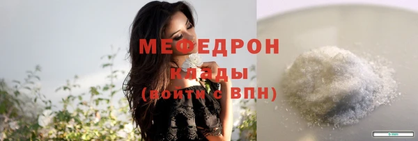 индика Медвежьегорск