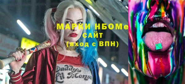 индика Медвежьегорск