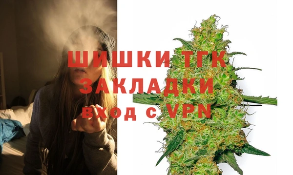 индика Медвежьегорск