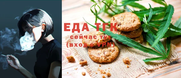 индика Медвежьегорск