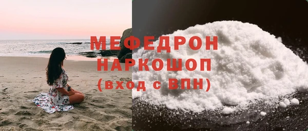 индика Медвежьегорск