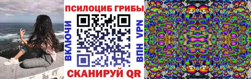мега зеркало  Болотное  Галлюциногенные грибы прущие грибы 